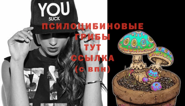 а пвп мука Абдулино
