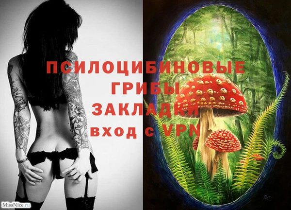 бошки Абинск