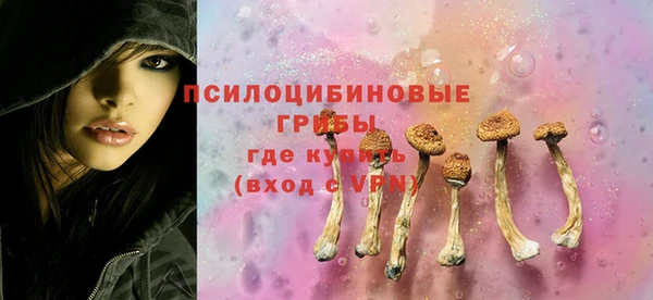 бошки Абинск